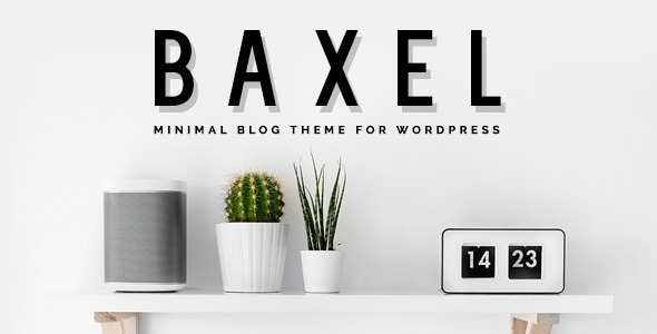 Baxel Minimal Blog Theme for WordPress v5.0.7