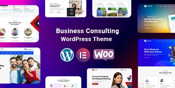 Consua Business Consulting WordPress v1.0