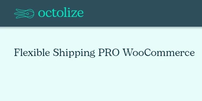 Flexible Shipping PRO 2.18.4