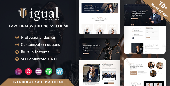 Igual Law Firm WordPress Theme v1.0.6