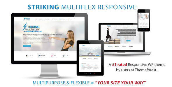 Striking Themeforest MultiFlex &amp; Ecommerce Theme v2.3.4